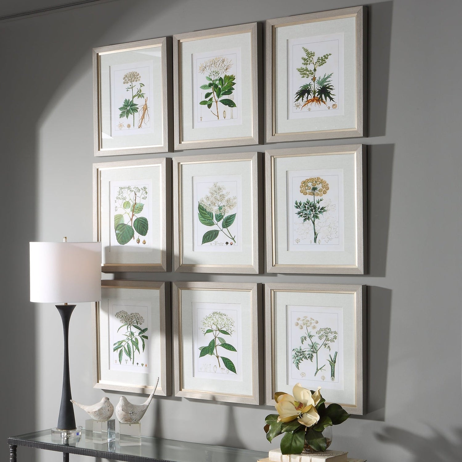 Antique Botanicals Framed Prints - Set Of 9 | Uttermost | Home Elegance USA