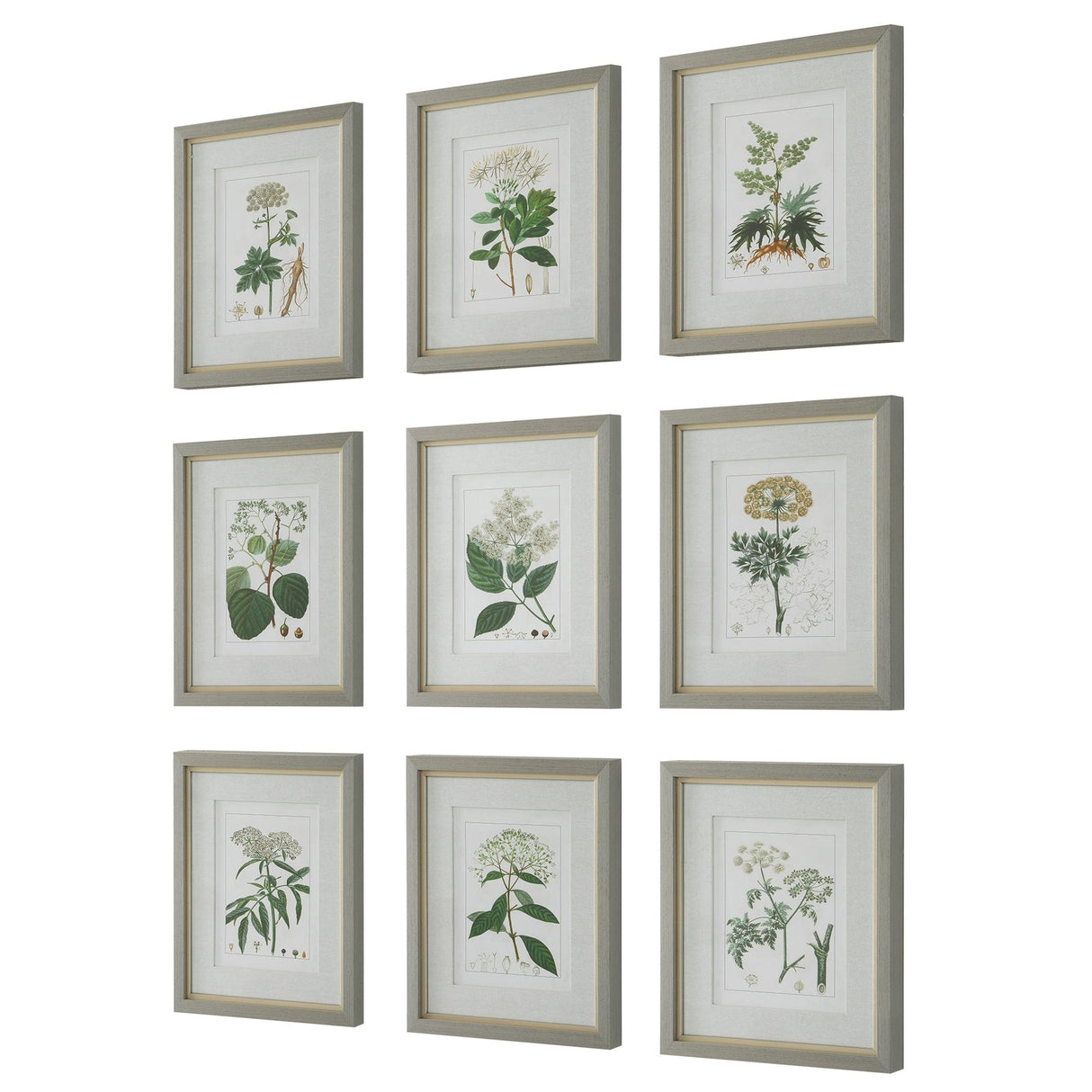 Uttermost Antique Botanicals Framed Prints - Set Of 9 - Home Elegance USA