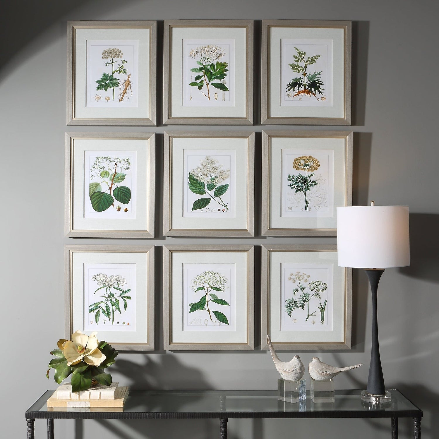 Antique Botanicals Framed Prints - Set Of 9 | Uttermost | Home Elegance USA