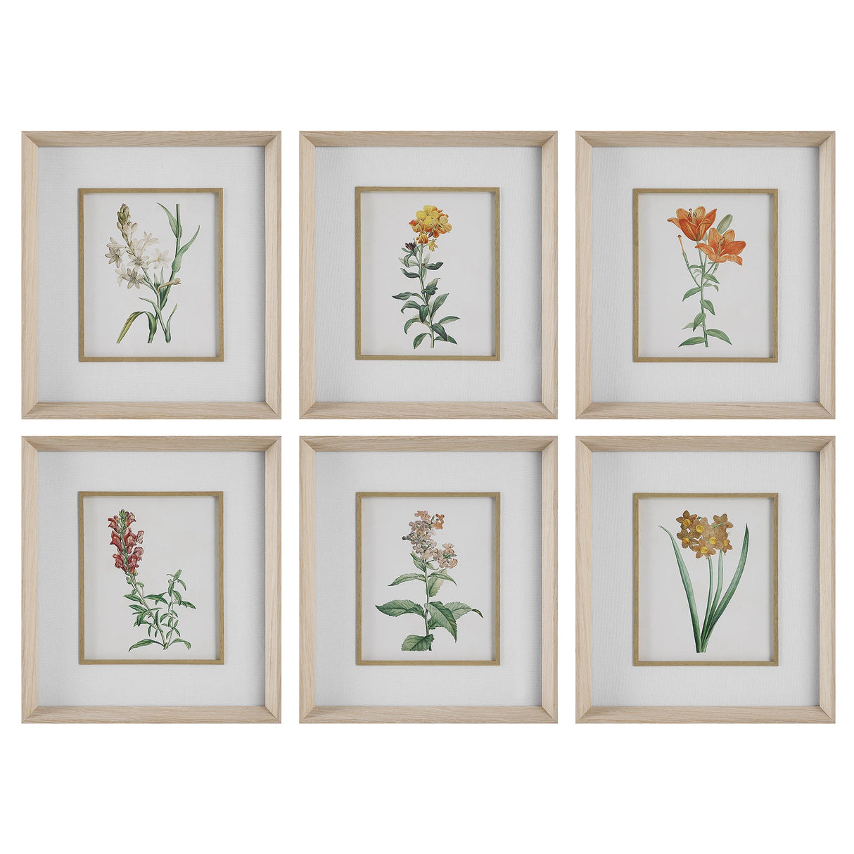 Uttermost Classic Botanicals Framed Prints - Set Of 6 - Home Elegance USA