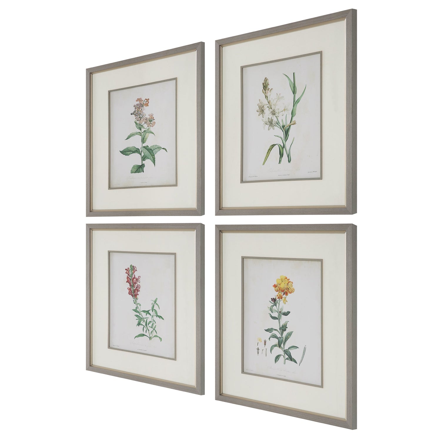 Uttermost Heirloom Blooms Study Framed Prints - Set Of 4 - Home Elegance USA