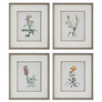 Uttermost Heirloom Blooms Study Framed Prints - Set Of 4 - Home Elegance USA