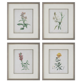 Uttermost Heirloom Blooms Study Framed Prints - Set Of 4 - Home Elegance USA
