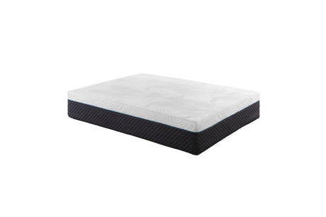 Avior 14 Inch Latex Microcoil Hybrid Mattress - MT-MC14 Homelegance Furniture