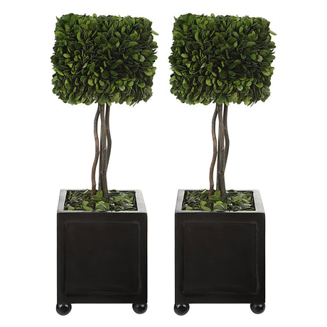 Uttermost Preserved Boxwood Square Topiaries - Set Of 2 - Home Elegance USA