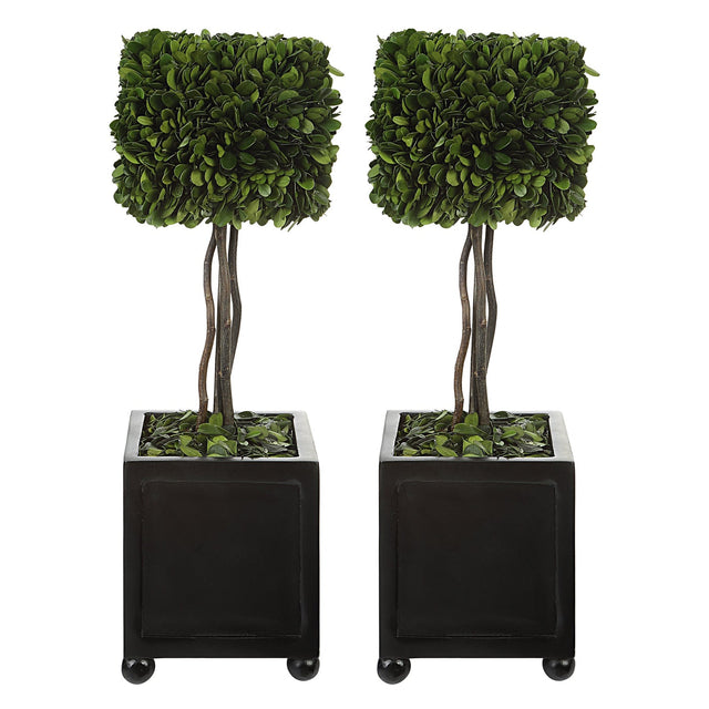Uttermost Preserved Boxwood Square Topiaries - Set Of 2 - Home Elegance USA