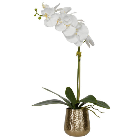 Uttermost Cami Orchid With Brass Pot - Home Elegance USA