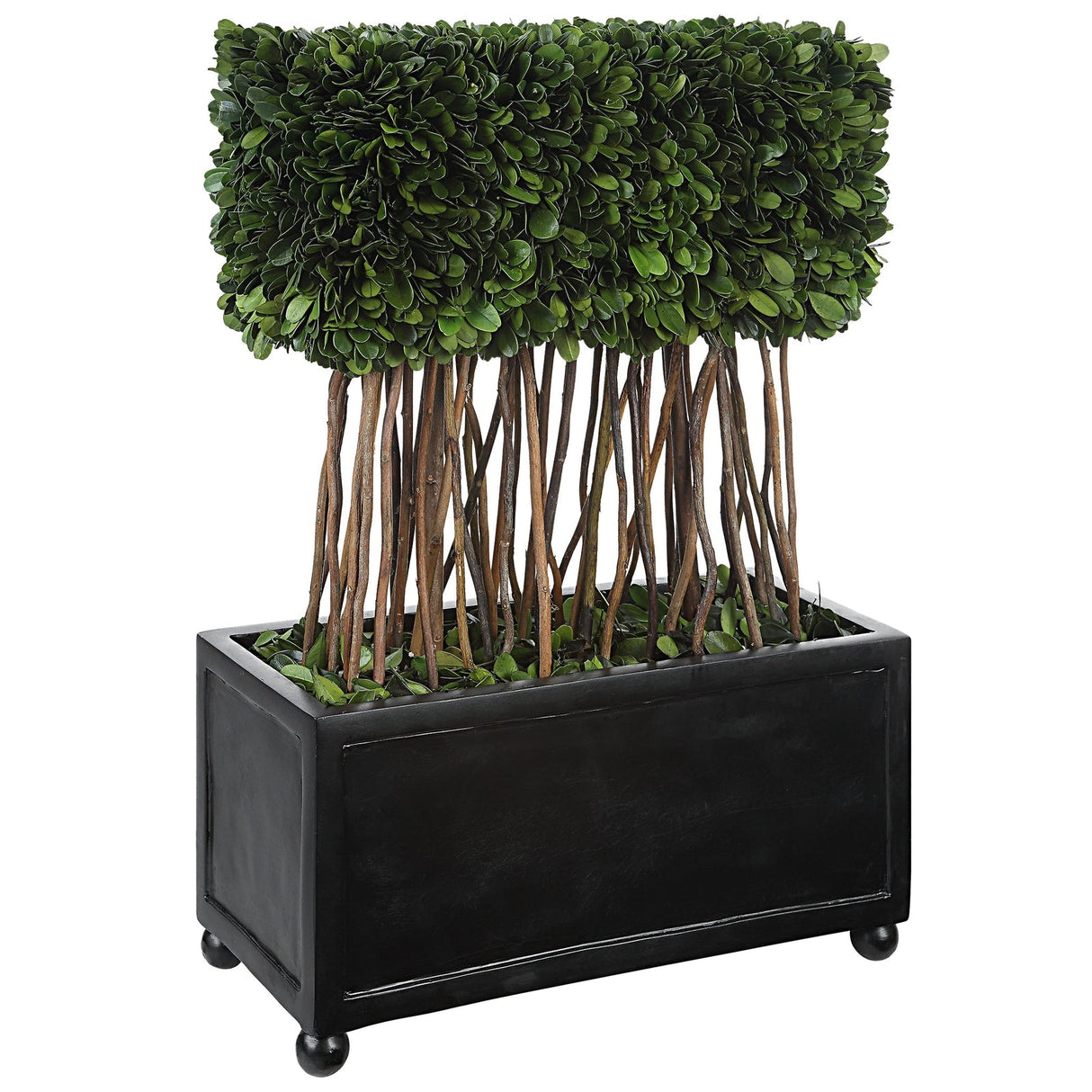 Uttermost Preserved Boxwood Rectangular Topiary - Home Elegance USA