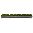 Canal Moss Centerpiece | Uttermost | Home Elegance USA