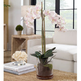 Uttermost Blush Pink And White Orchid - Home Elegance USA