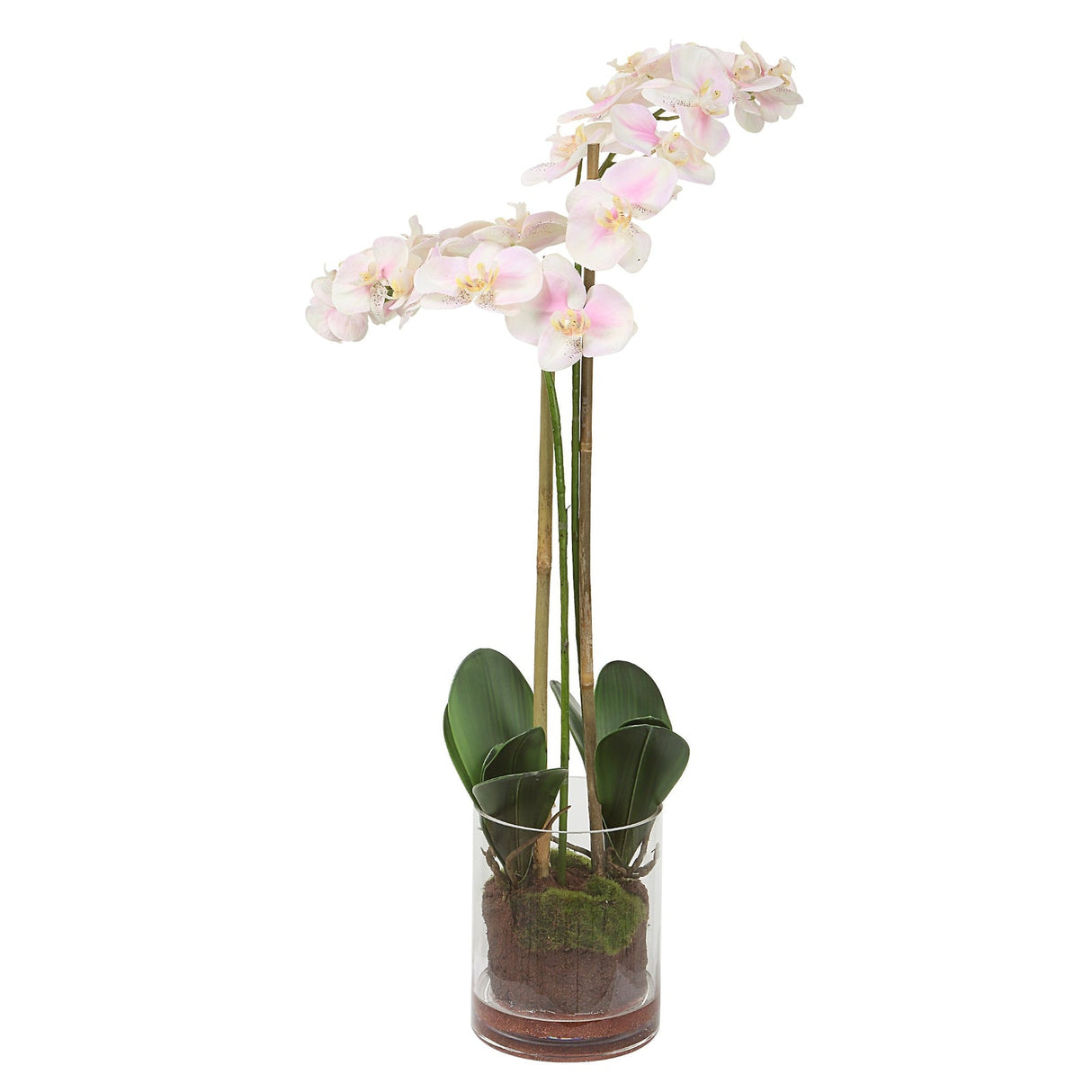 Uttermost Blush Pink And White Orchid - Home Elegance USA