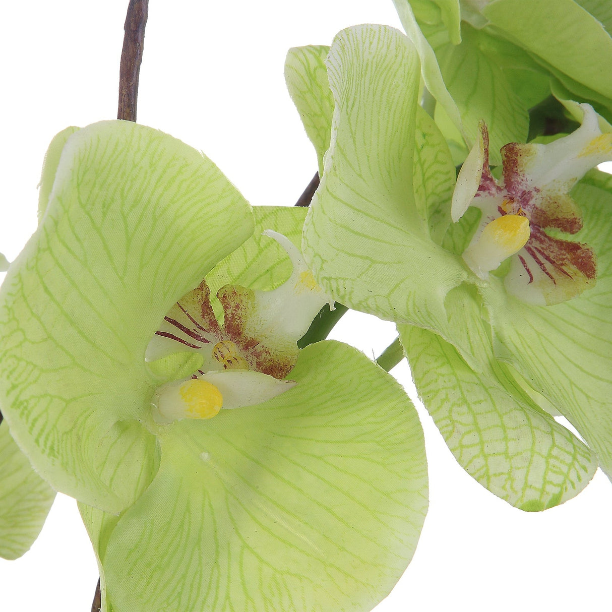 Uttermost Valdive Orchid - Home Elegance USA