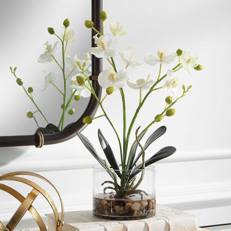 Uttermost Glory Orchid - Home Elegance USA
