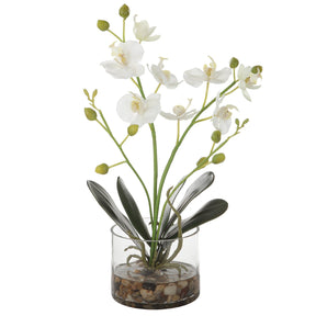 Uttermost Glory Orchid - Home Elegance USA