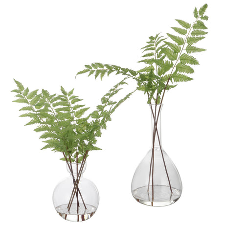 Uttermost Country Ferns - Set Of 2 - Home Elegance USA
