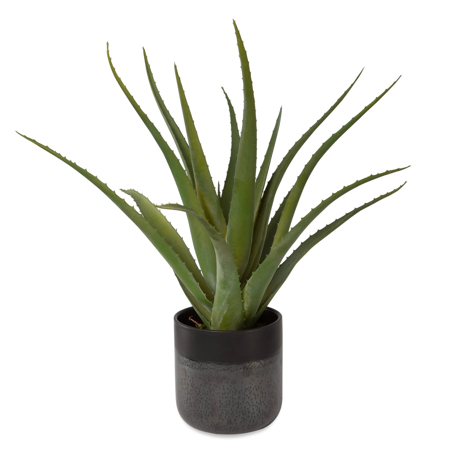 Uttermost Tucson Aloe Planter - Home Elegance USA