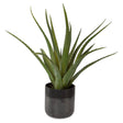 Uttermost Tucson Aloe Planter - Home Elegance USA