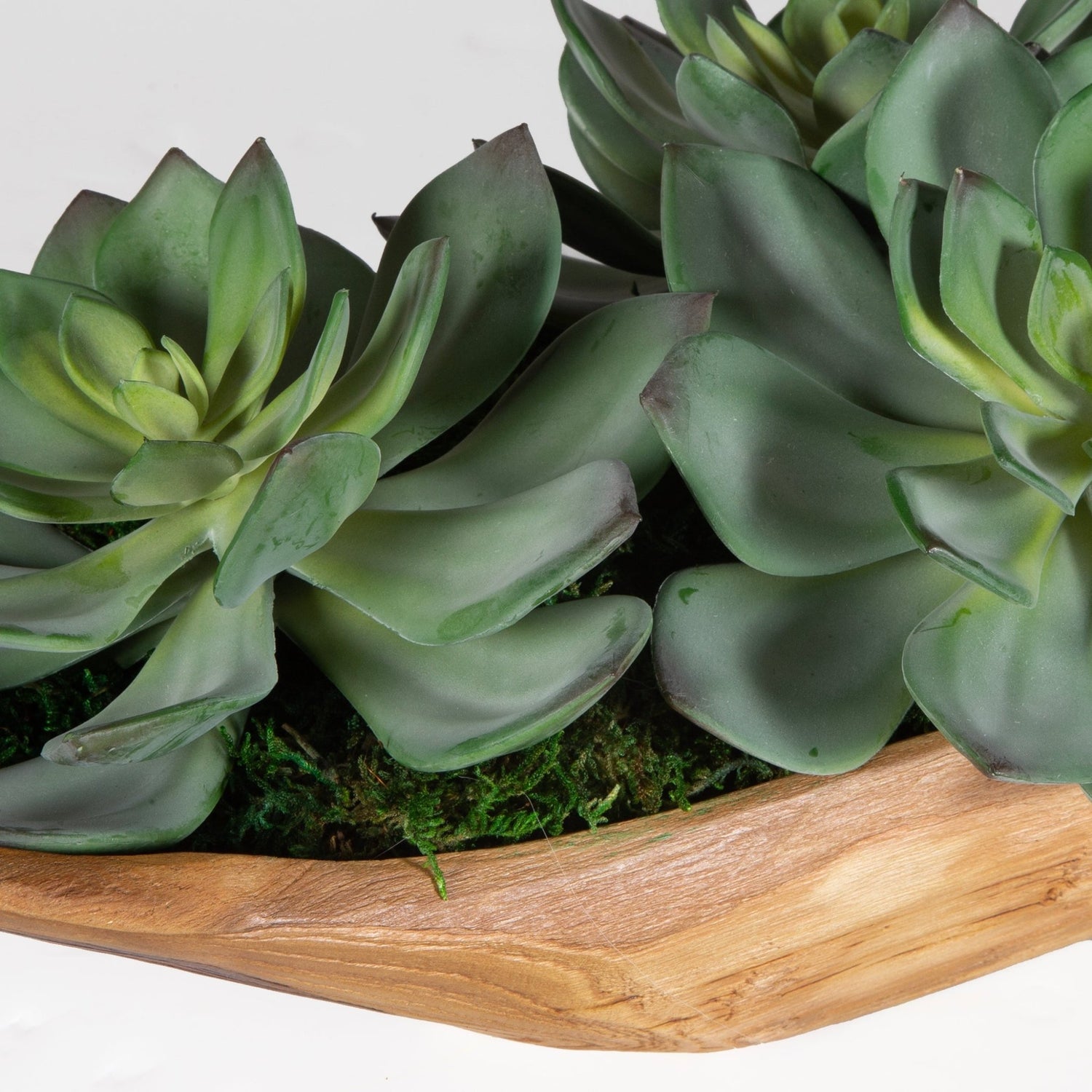 Uttermost Yuma Succulent Centerpiece - Home Elegance USA