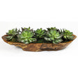 Uttermost Yuma Succulent Centerpiece - Home Elegance USA