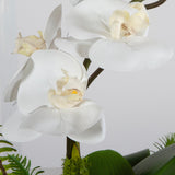 Uttermost Transcend Orchid Centerpiece - Home Elegance USA