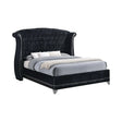 Barzini Tufted Upholstered Bed in Black by Coaster Furniture Coaster Furniture