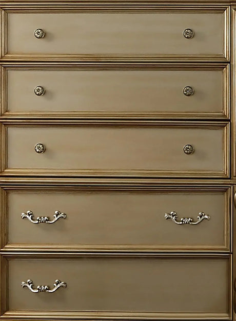 Miranda Transitional Style Chest In Gold Finish Wood | Cosmos