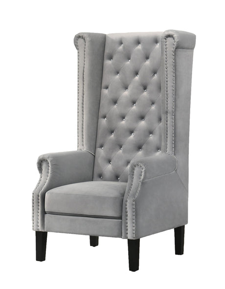 Bollywood Transitional Style Silver Accent Chair - Home Elegance USA