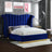 Flora Velvet Platform Bed | Meridian