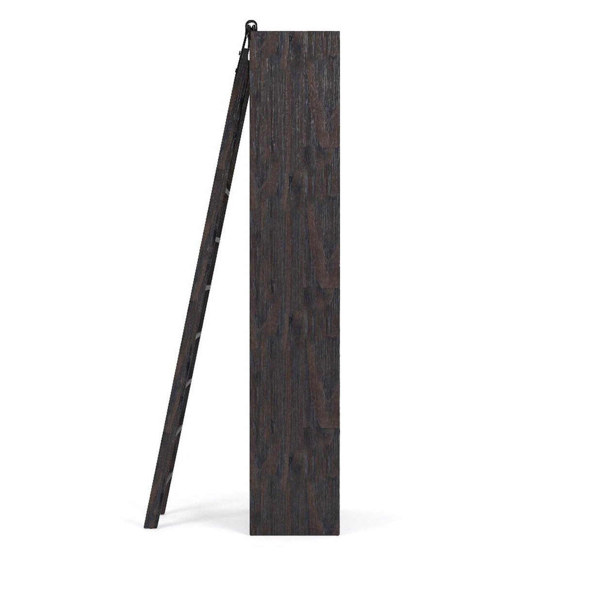 Four Hands Bane Bookshelf With Ladder