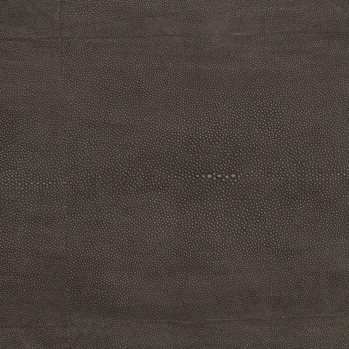 Four Hands Shagreen Shadow Box Coffee Table
