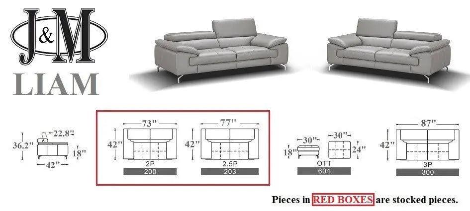 Liam Contemporary Sofa and Loveseat by J&M Furniture J&M Furniture
