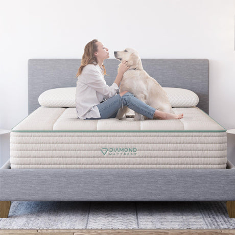Sage Organic Hybrid - Home Elegance USA