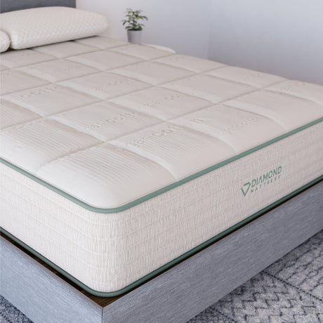 Sage Organic Hybrid - Home Elegance USA