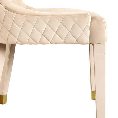 Diamond Dining Chair Set Of 2 | TOV - sold by Home Elegance USA