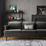 Tov Furniture Porter Velvet Sofa