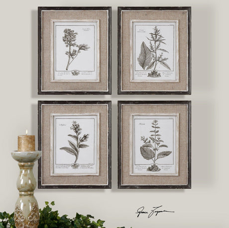 Uttermost Casual Grey Study Framed Art - Set Of 4 - Home Elegance USA