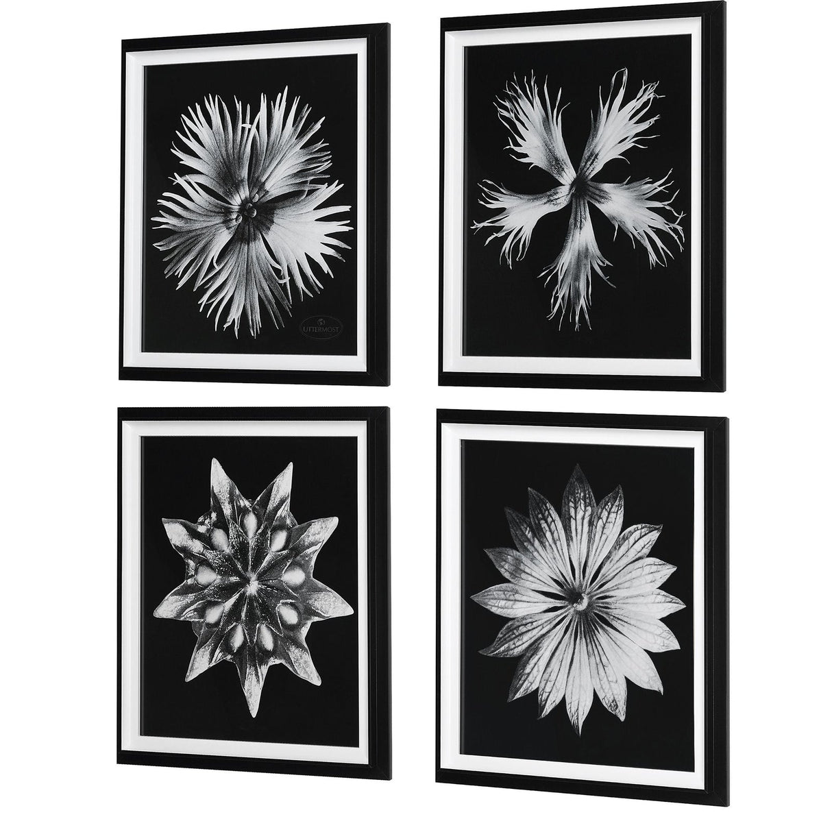 Uttermost Contemporary Floret Framed Prints - Set Of 4 - Home Elegance USA