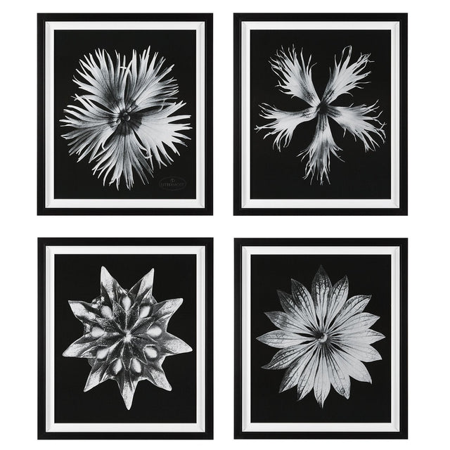 Uttermost Contemporary Floret Framed Prints - Set Of 4 - Home Elegance USA