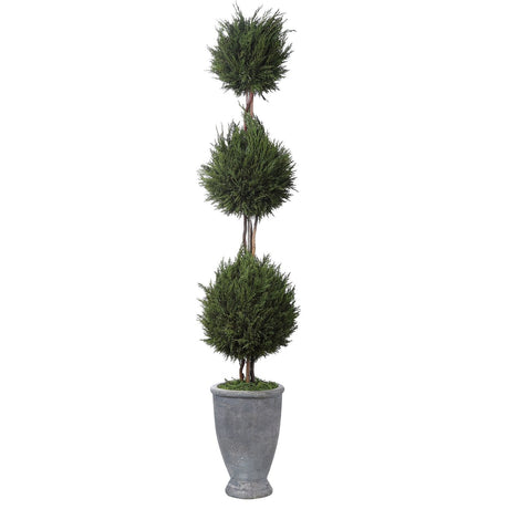 Uttermost Cypress Triple Topiary - Home Elegance USA