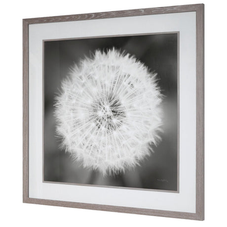 Uttermost Dandelion Seedhead Framed Print - Home Elegance USA