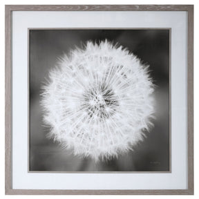 Dandelion Seedhead Framed Print | Uttermost | Home Elegance USA