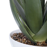 Uttermost Evarado Aloe Planter - Home Elegance USA