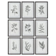 Uttermost Farmhouse Florals Framed Prints - Set Of 9 - Home Elegance USA