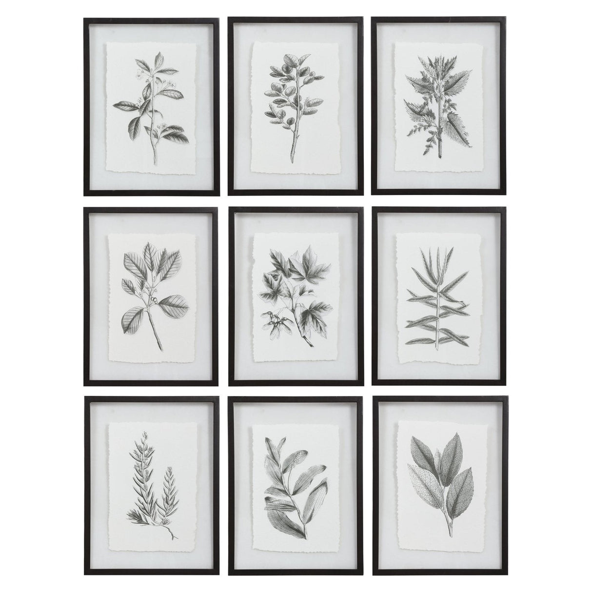Uttermost Farmhouse Florals Framed Prints - Set Of 9 - Home Elegance USA