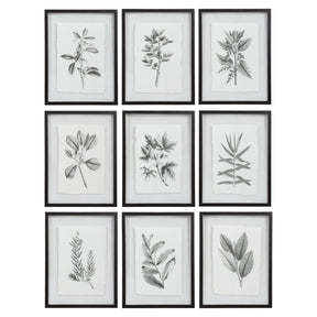 Uttermost Farmhouse Florals Framed Prints - Set Of 9 - Home Elegance USA