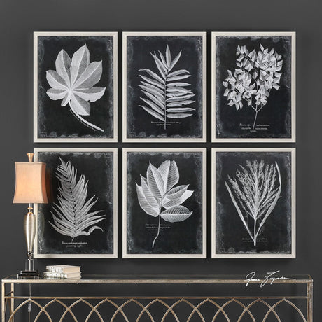 Uttermost Foliage Framed Prints - Set Of 6 - Home Elegance USA