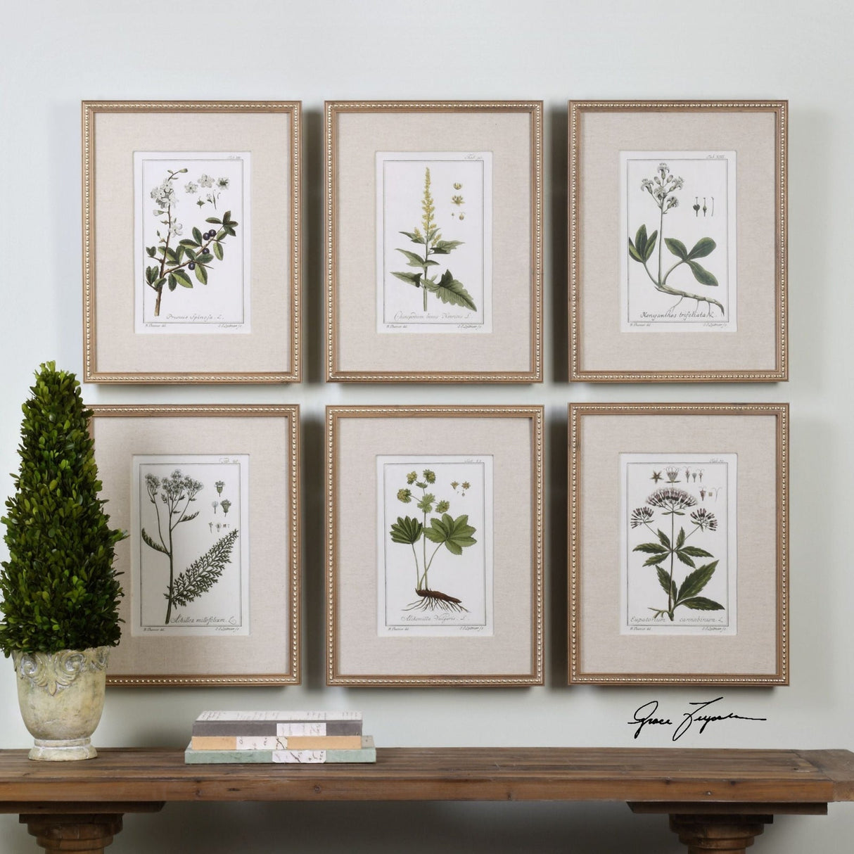 Uttermost Green Floral Botanical Study Prints - Set Of 6 - Home Elegance USA