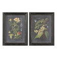 Uttermost Midnight Botanicals Wall Art - Set Of 2 - Home Elegance USA