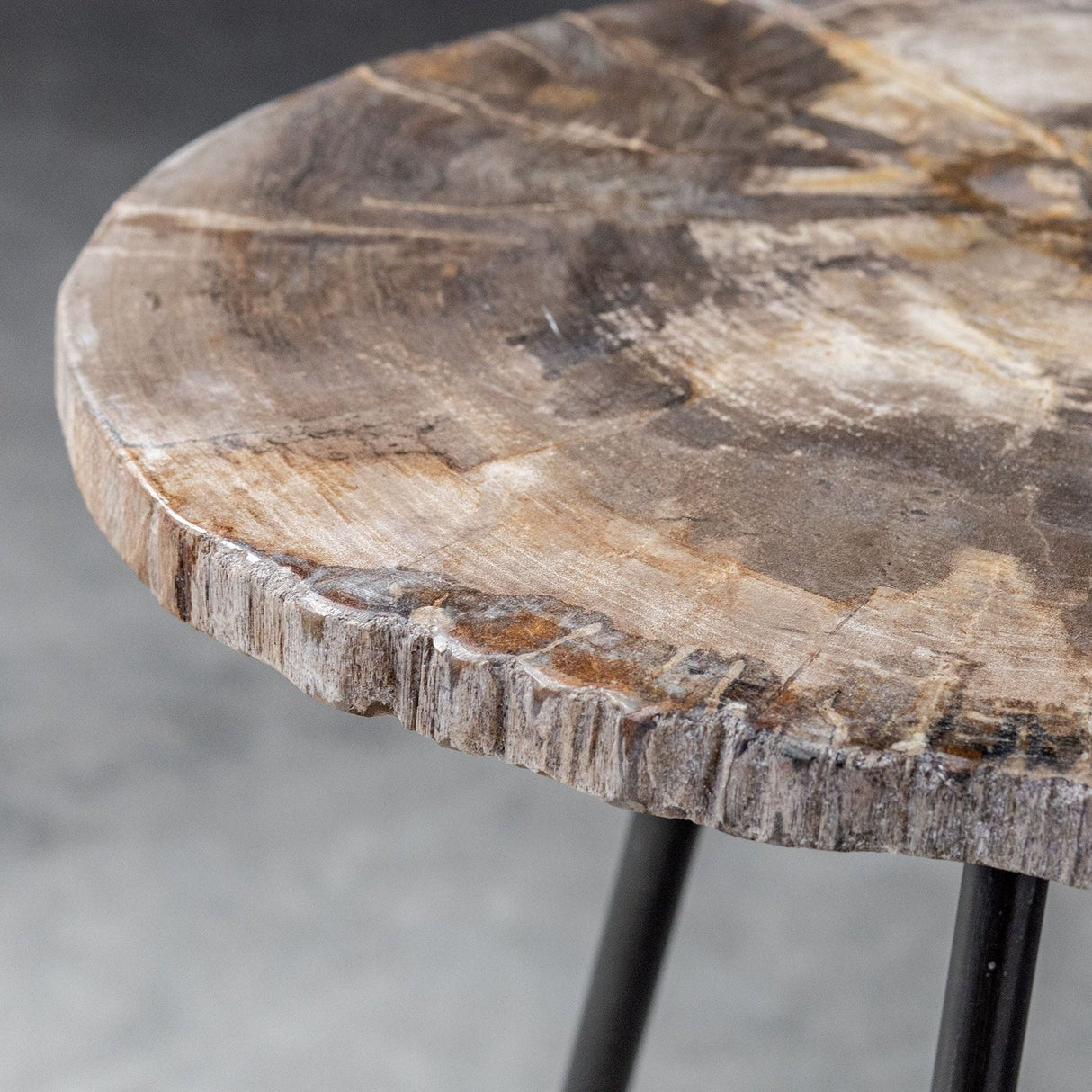 Uttermost Mircea Petrified Wood Accent Table - Home Elegance USA