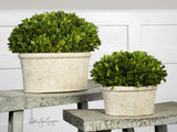 Uttermost Oval Domes Preserved Boxwood - Set Of 2 - Home Elegance USA